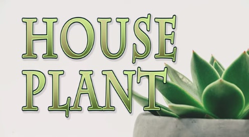 “House Plant”
