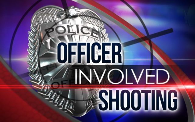 Suspect Shot Dead by Police in Silverton