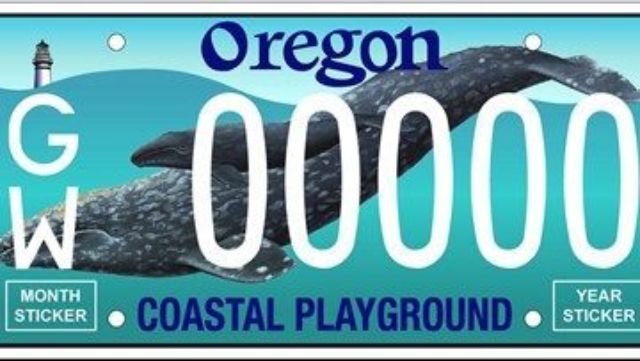 Gray Whale License Plate Funds $300K In Research
