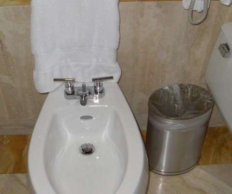 Why We Should Embrace Bidets Instead of Toilet Paper