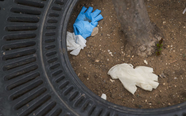 Mask & Glove Litterbugs Could Be Putting Animals & People in Danger