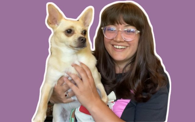 Get Free Pet Insurance With Hannah The Pet Society
