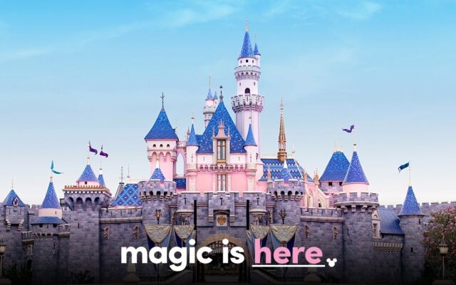 Olivia Is Off To The Most Magical Place On Earth