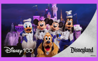 Enter for your chance to win a visit to the Disneyland® Resort!